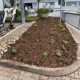 Hausmeisterservice Haushaltsauflösungen Gartengestaltung Gartenpflege Rasen-Rollrasen Pflasterarbeiten Entrümpelungen Umzüge Transporte Renovierungsarbeiten